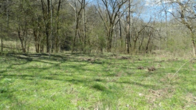 Photo of Listing #2816403