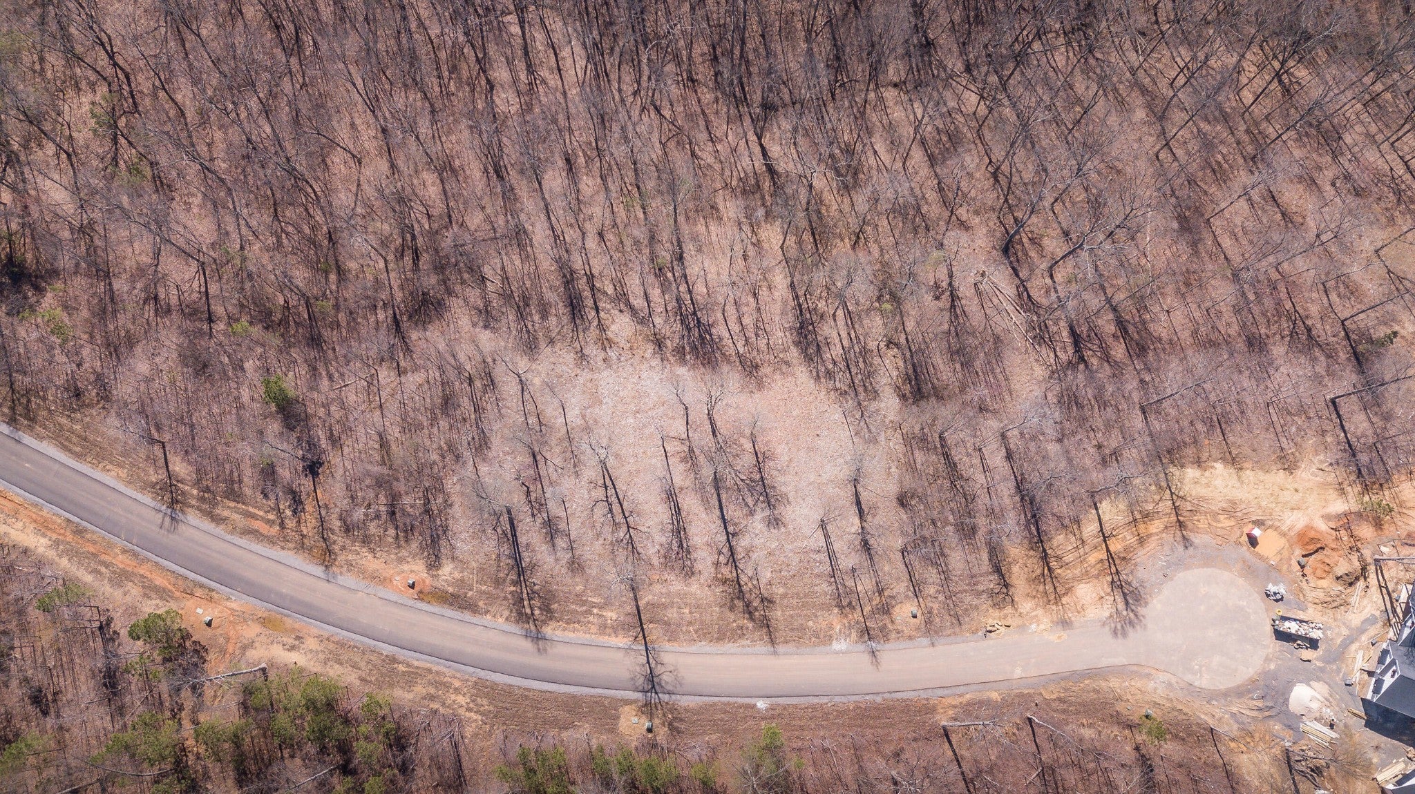 Photo of Listing #2816844