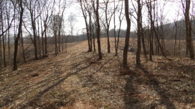 Photo of Listing #2817889