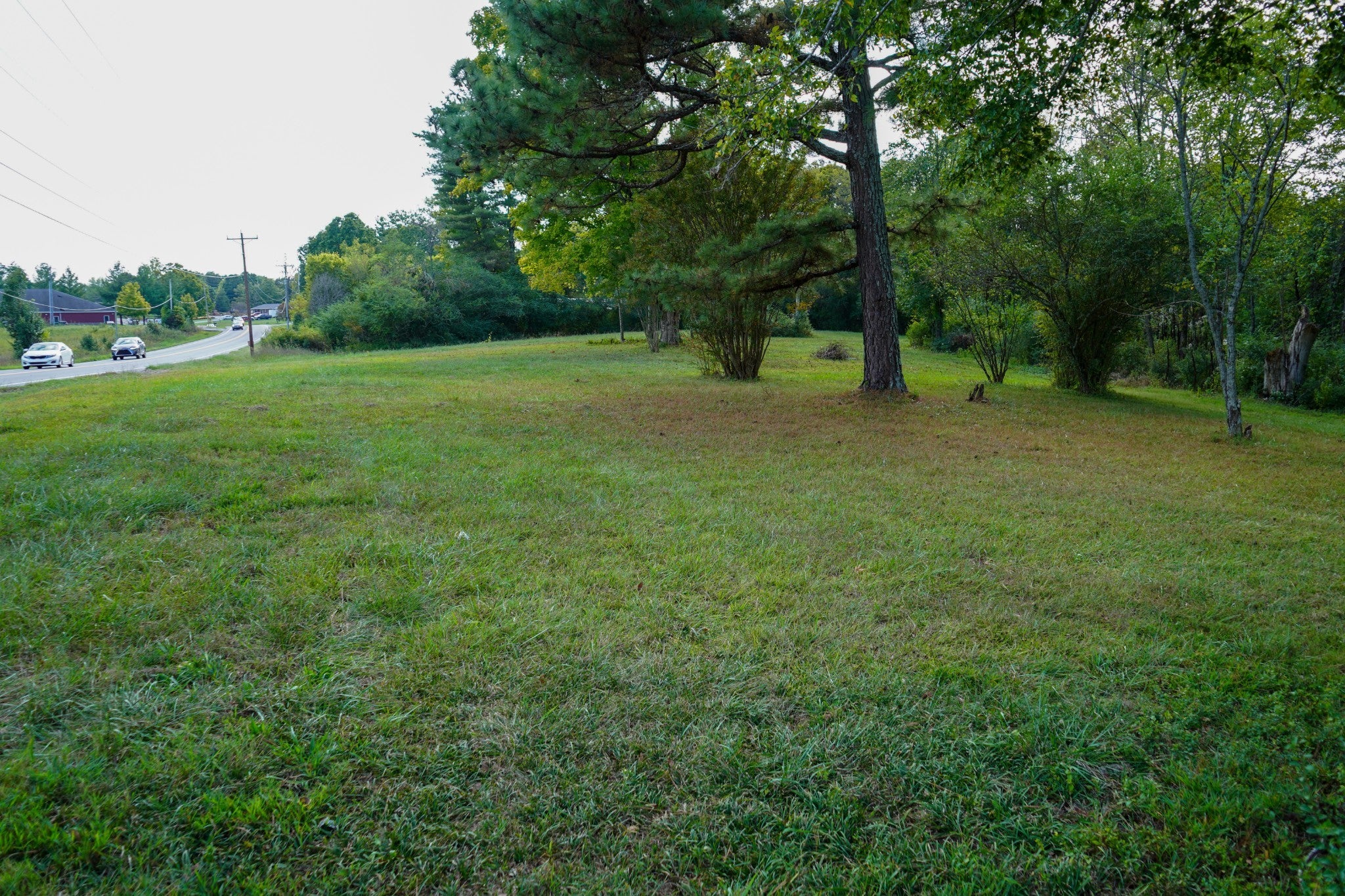 Photo of Listing #2817903