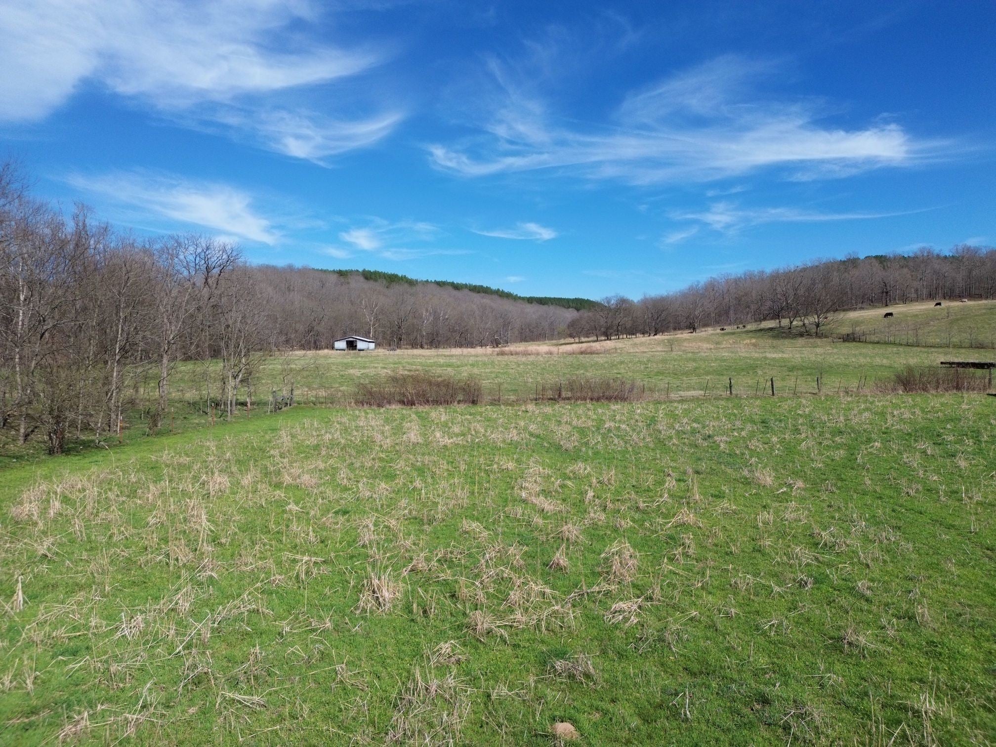 Photo of Listing #2818277
