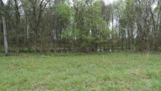 Photo of Listing #2819834