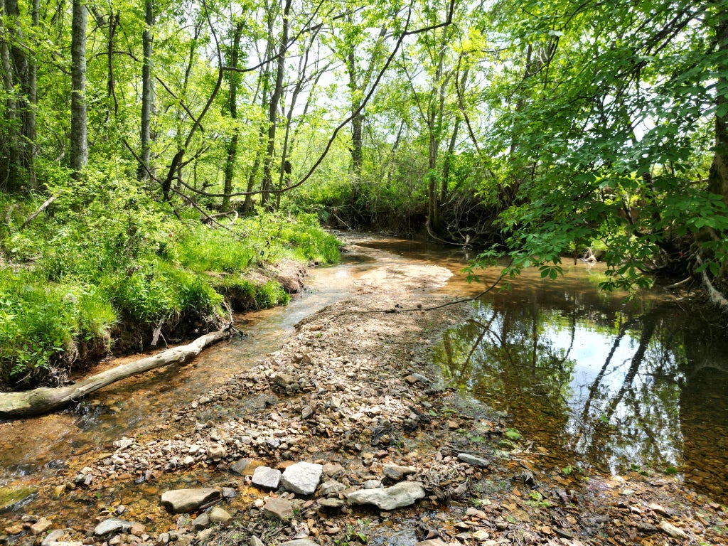 198 Treece Ln, Clifton