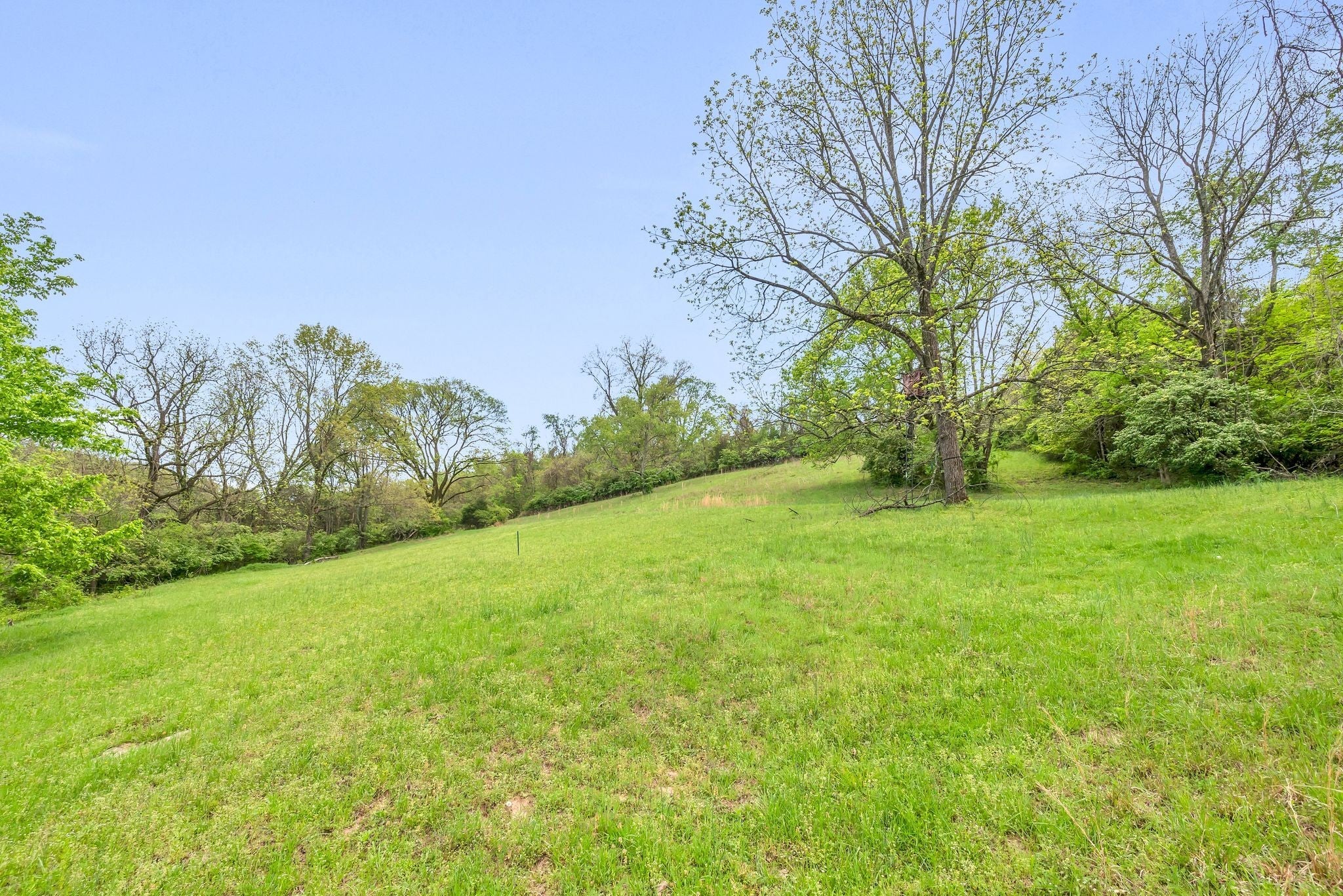 Photo of Listing #2821239