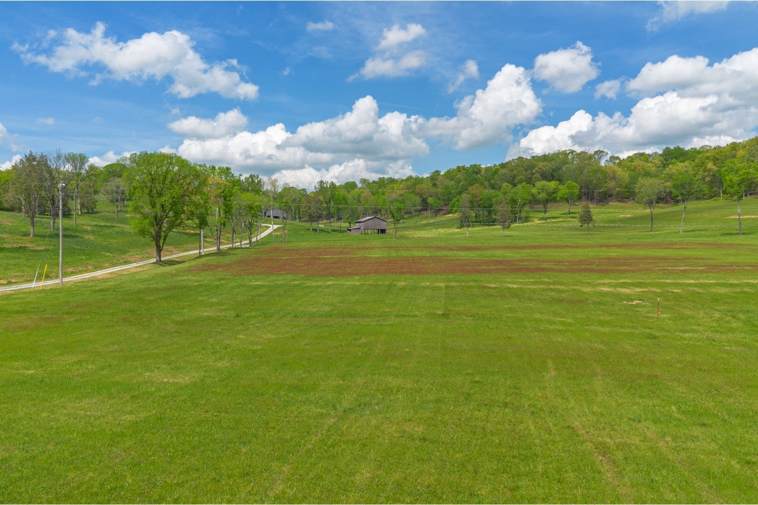 Photo of Listing #2821607