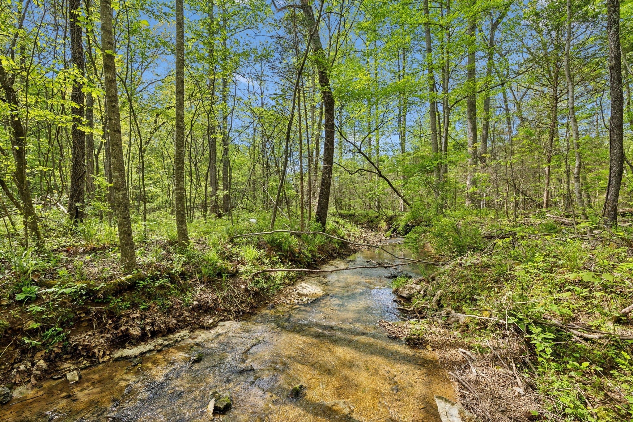 Photo of Listing #2821995