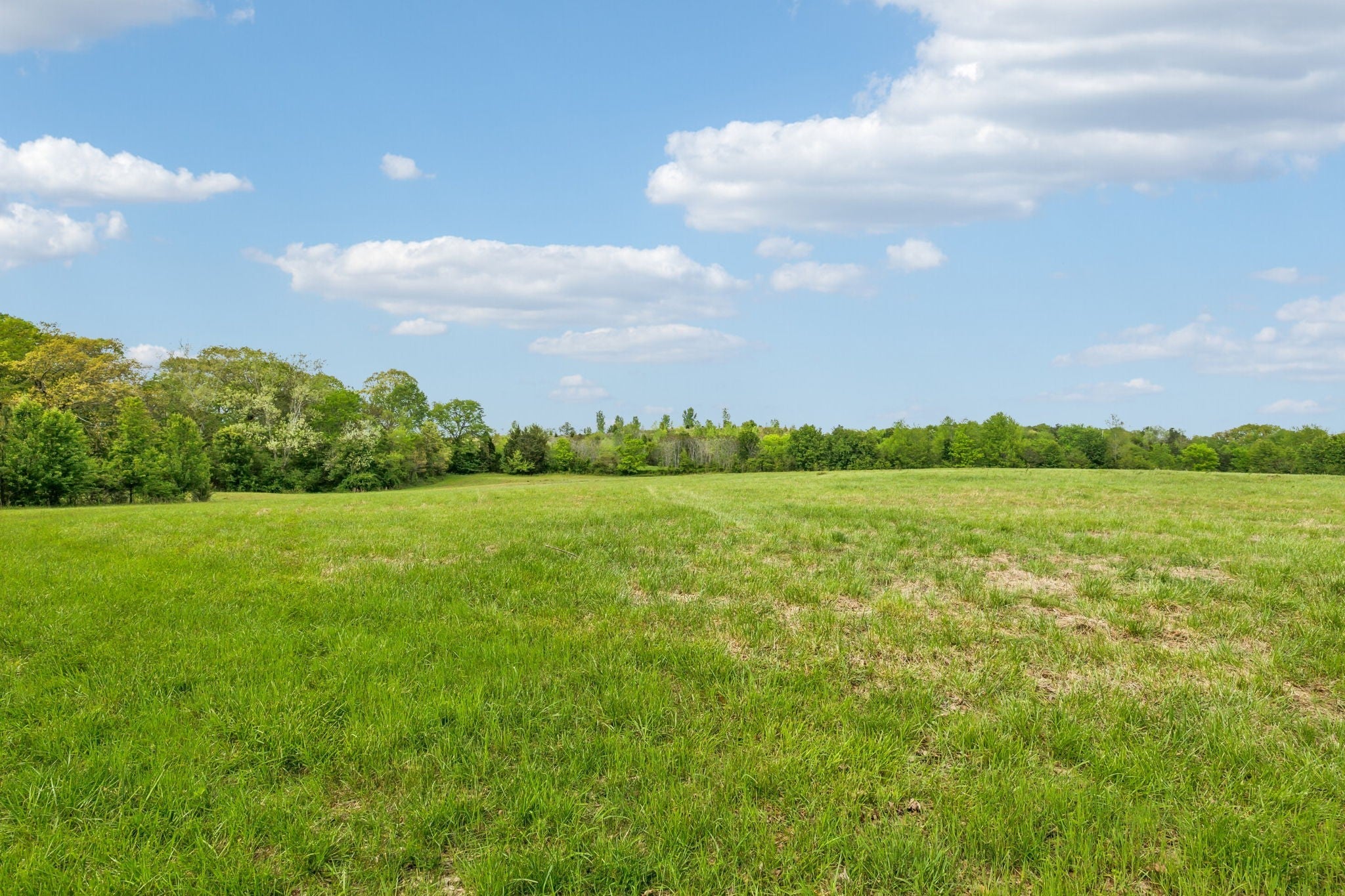 Photo of Listing #2821995