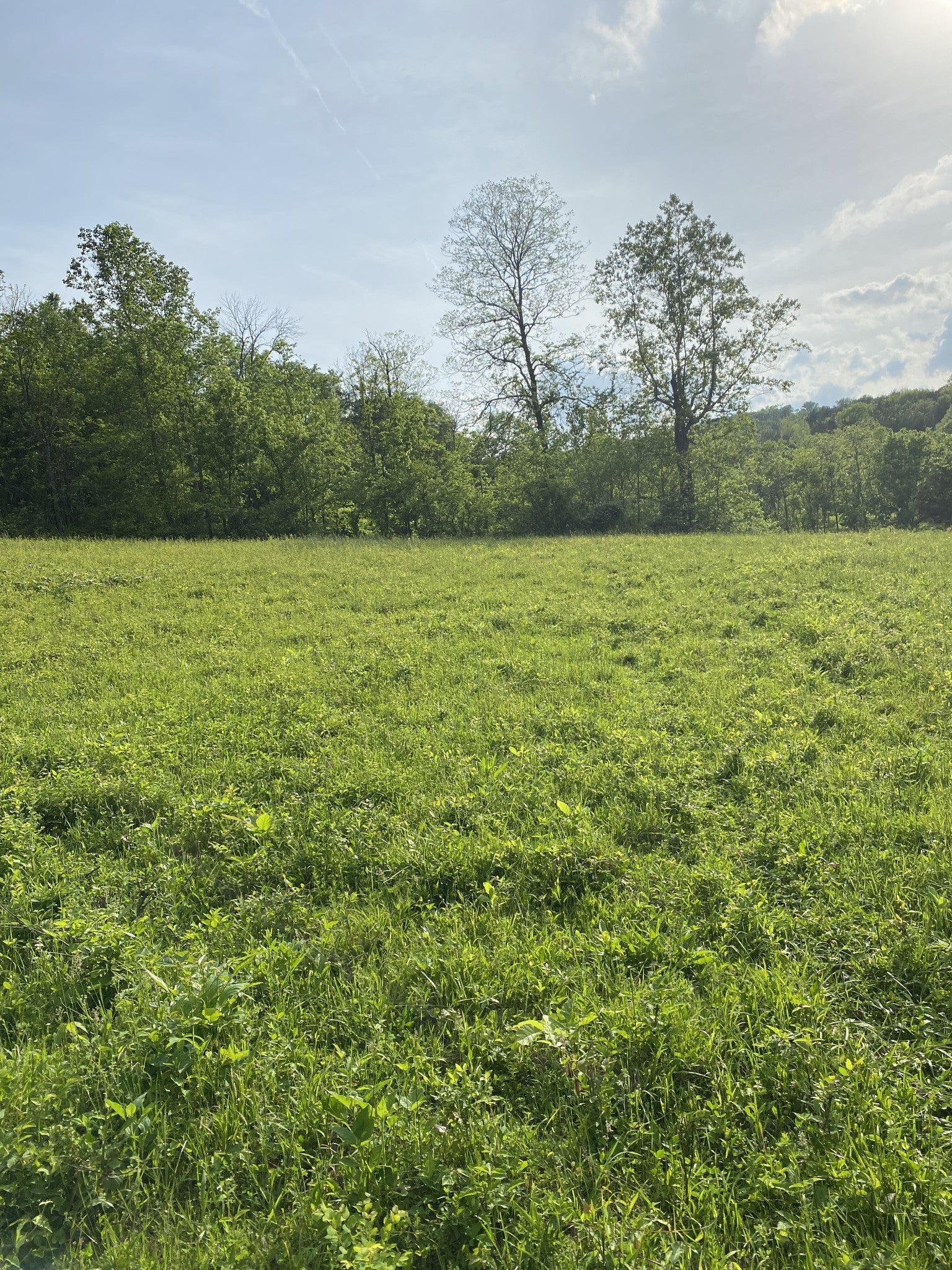 Photo of Listing #2824244