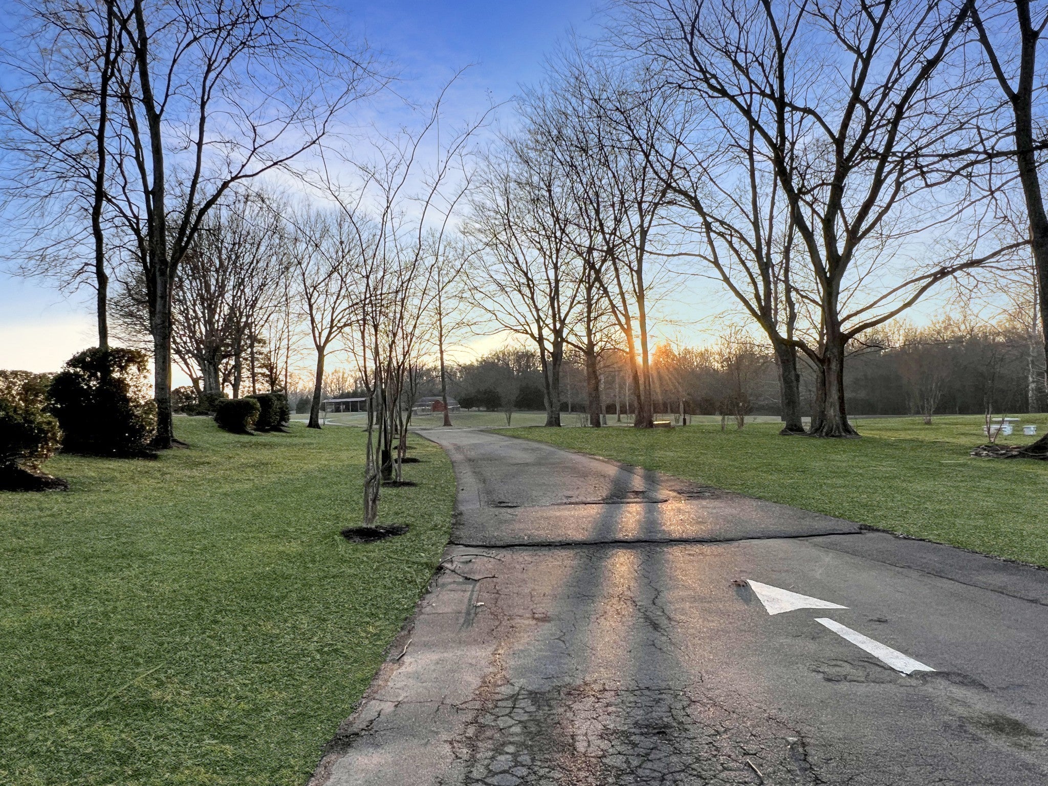 Photo of Listing #2868297