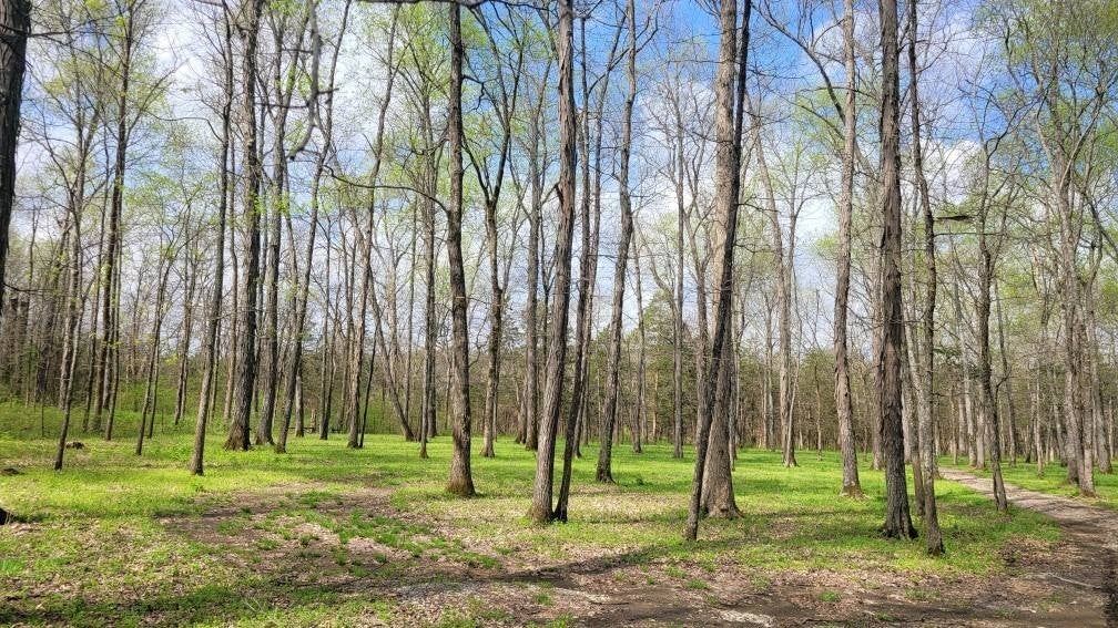 Photo of Listing #2871916