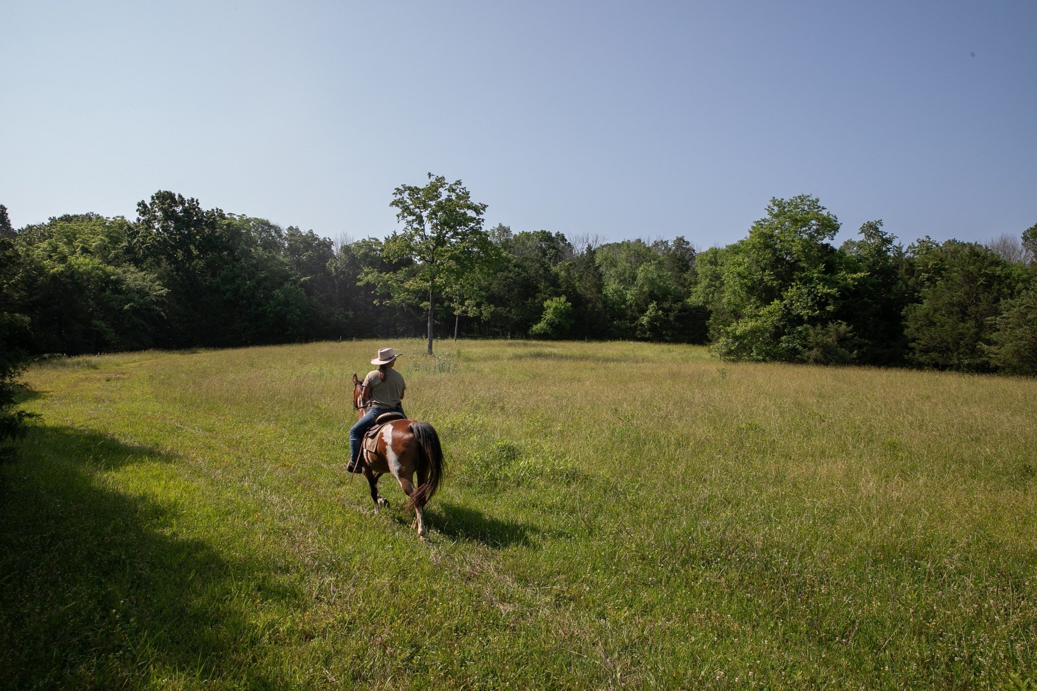 Photo of Listing #2904941