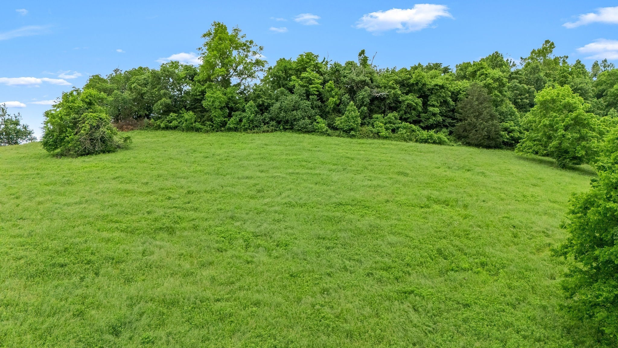 Photo of Listing #2906185