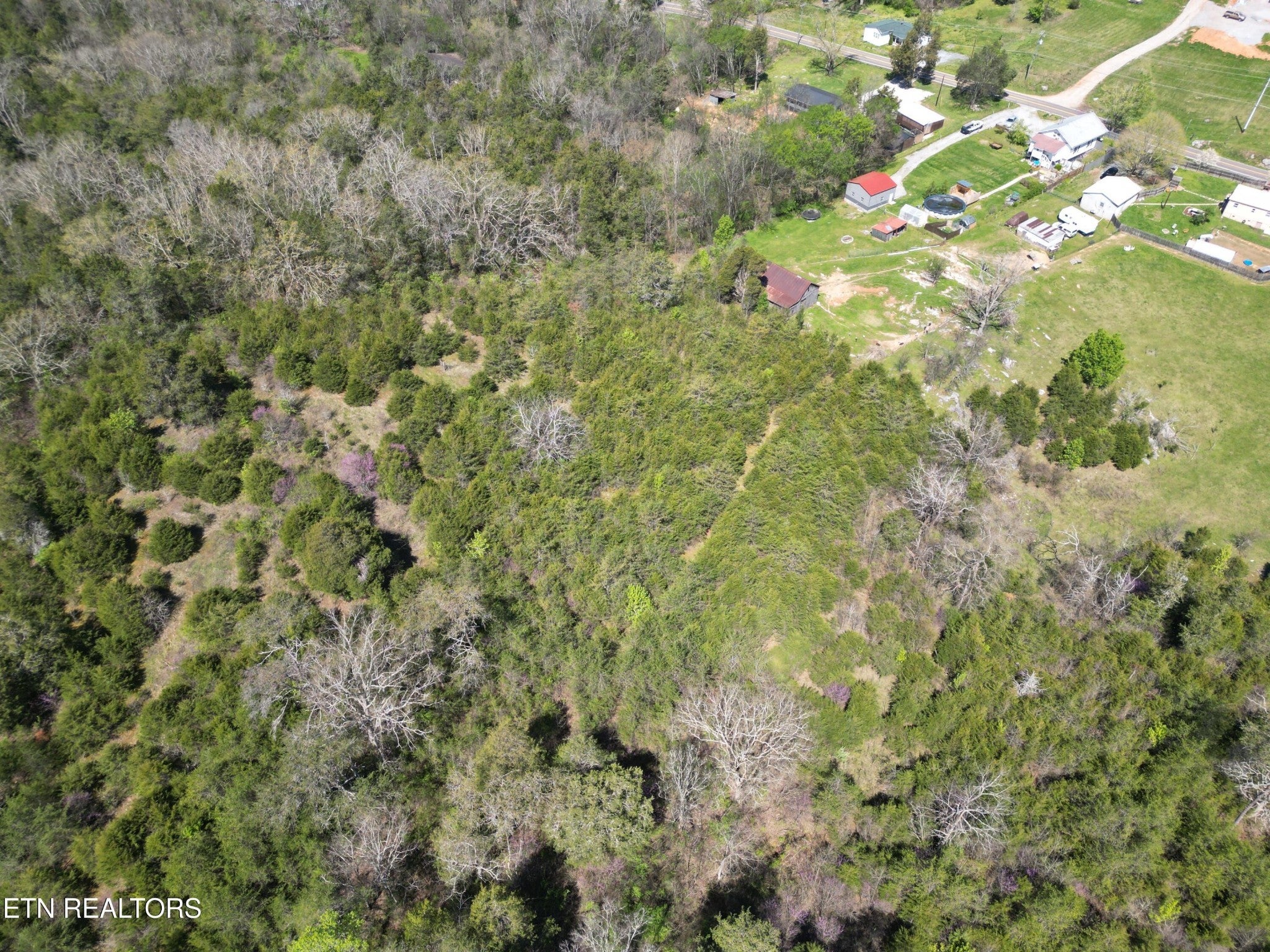 Photo of Listing #2907201