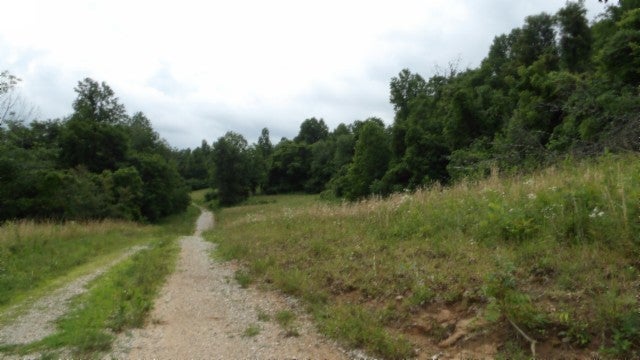 Photo of Listing #2914522