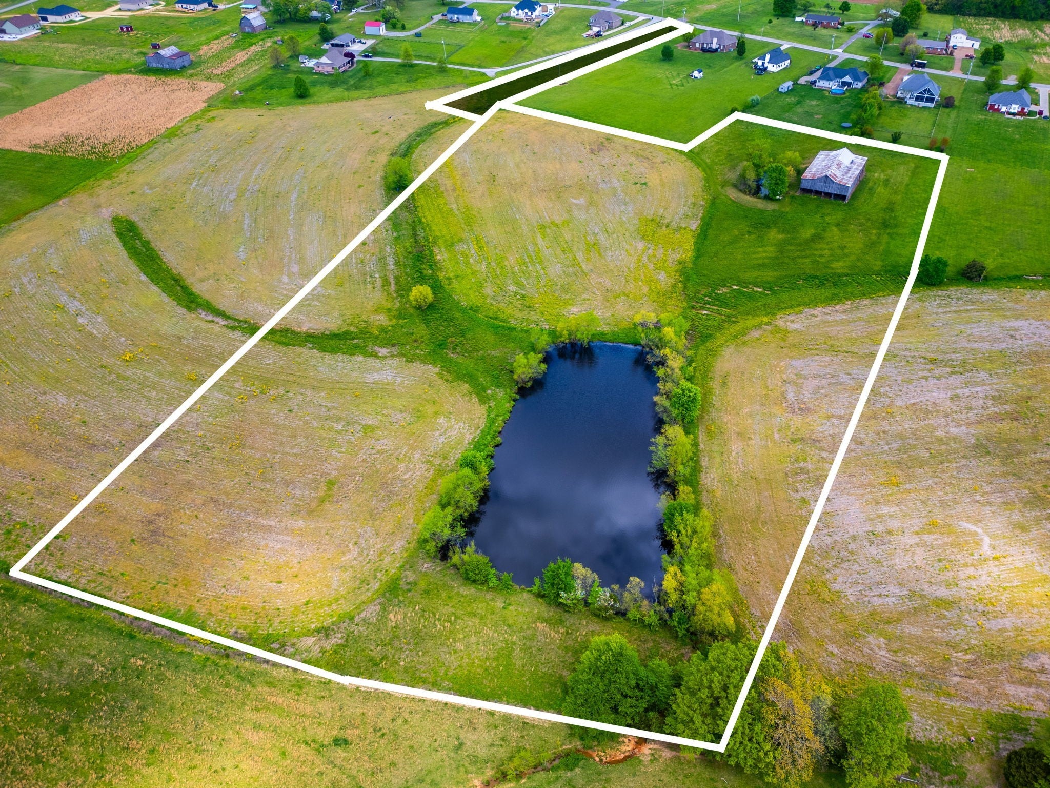 Photo of Listing #2921617