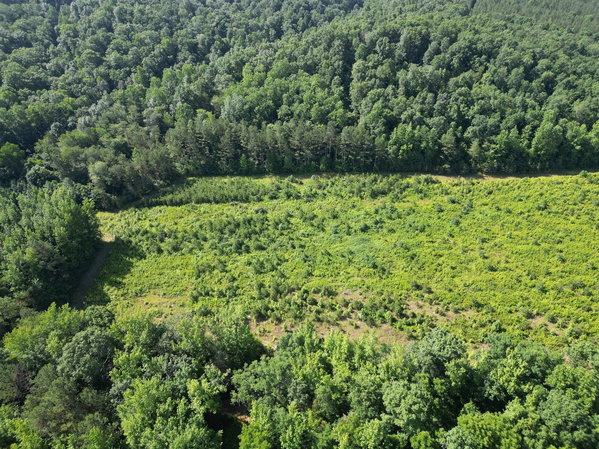 Photo of Listing #2923157