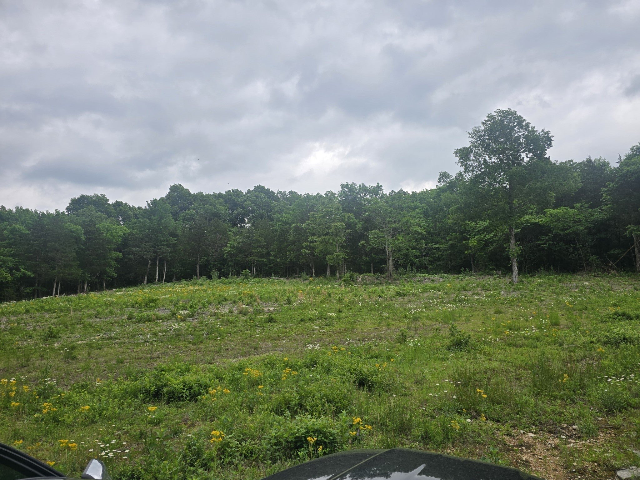 Photo of Listing #2925084