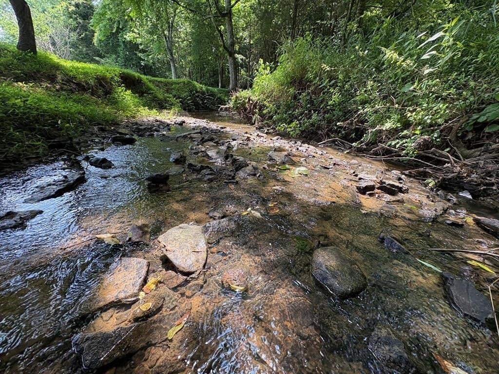 Photo of Listing #2926625