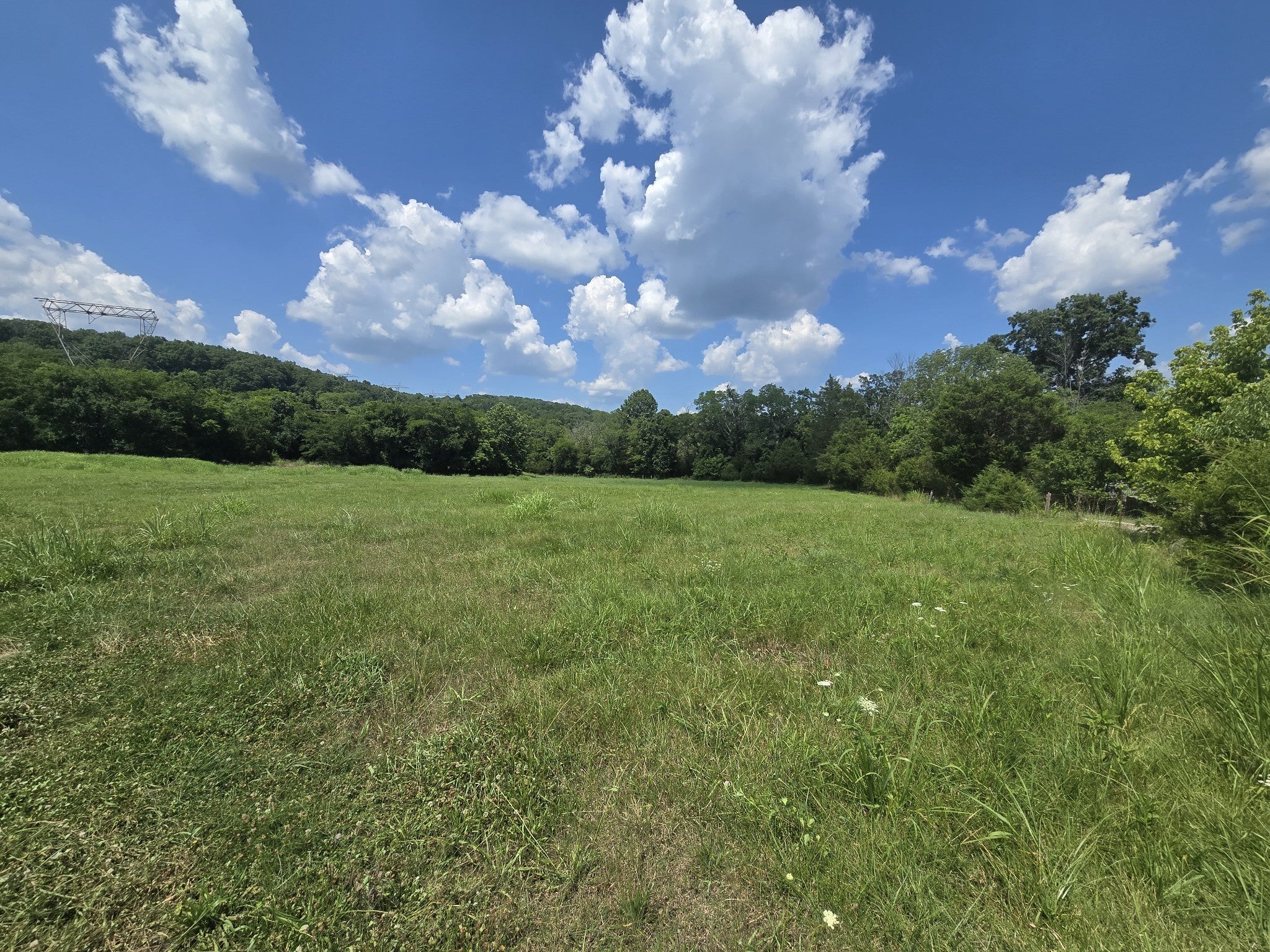 Photo of Listing #2929475