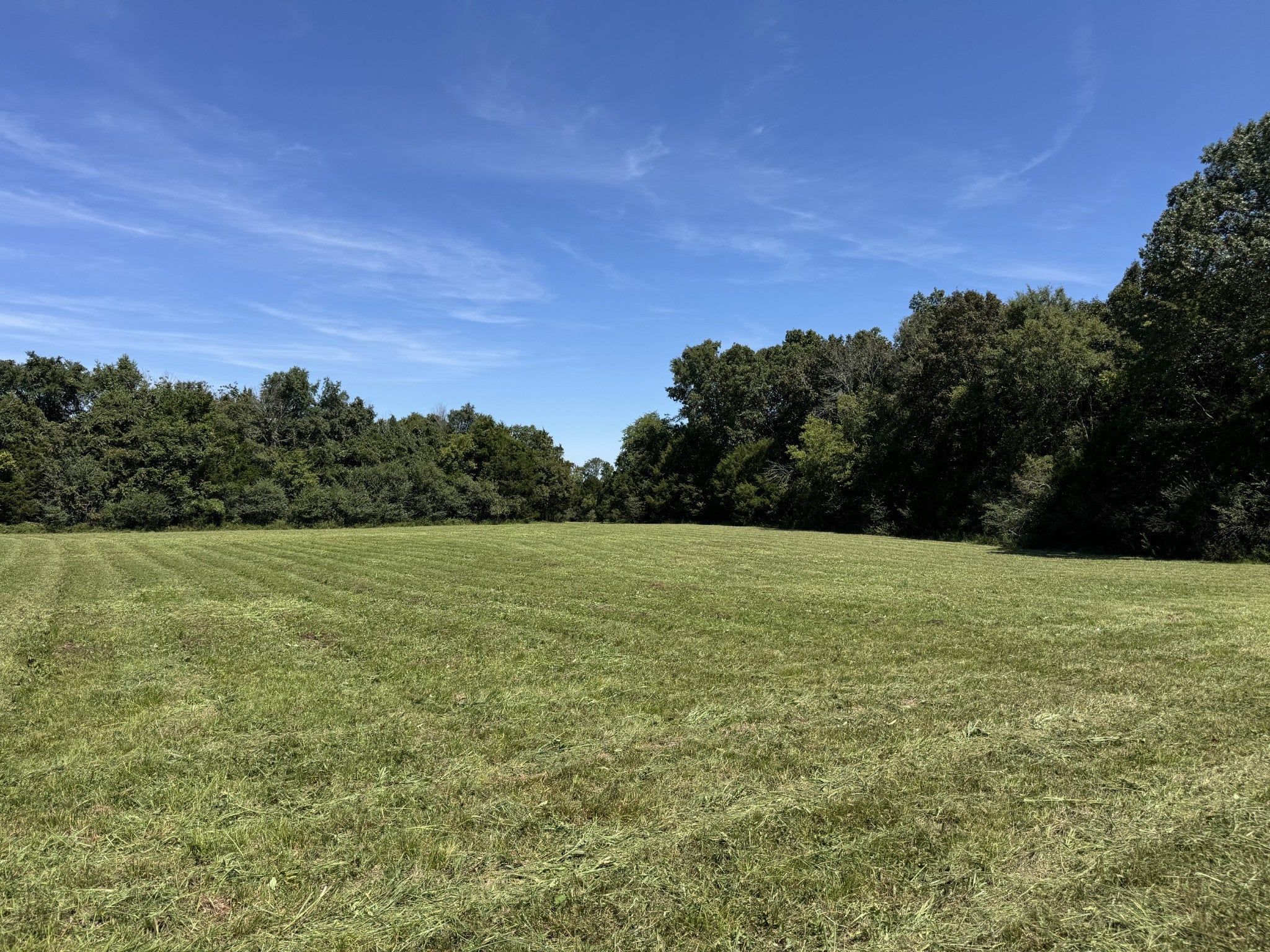 Photo of Listing #2930217