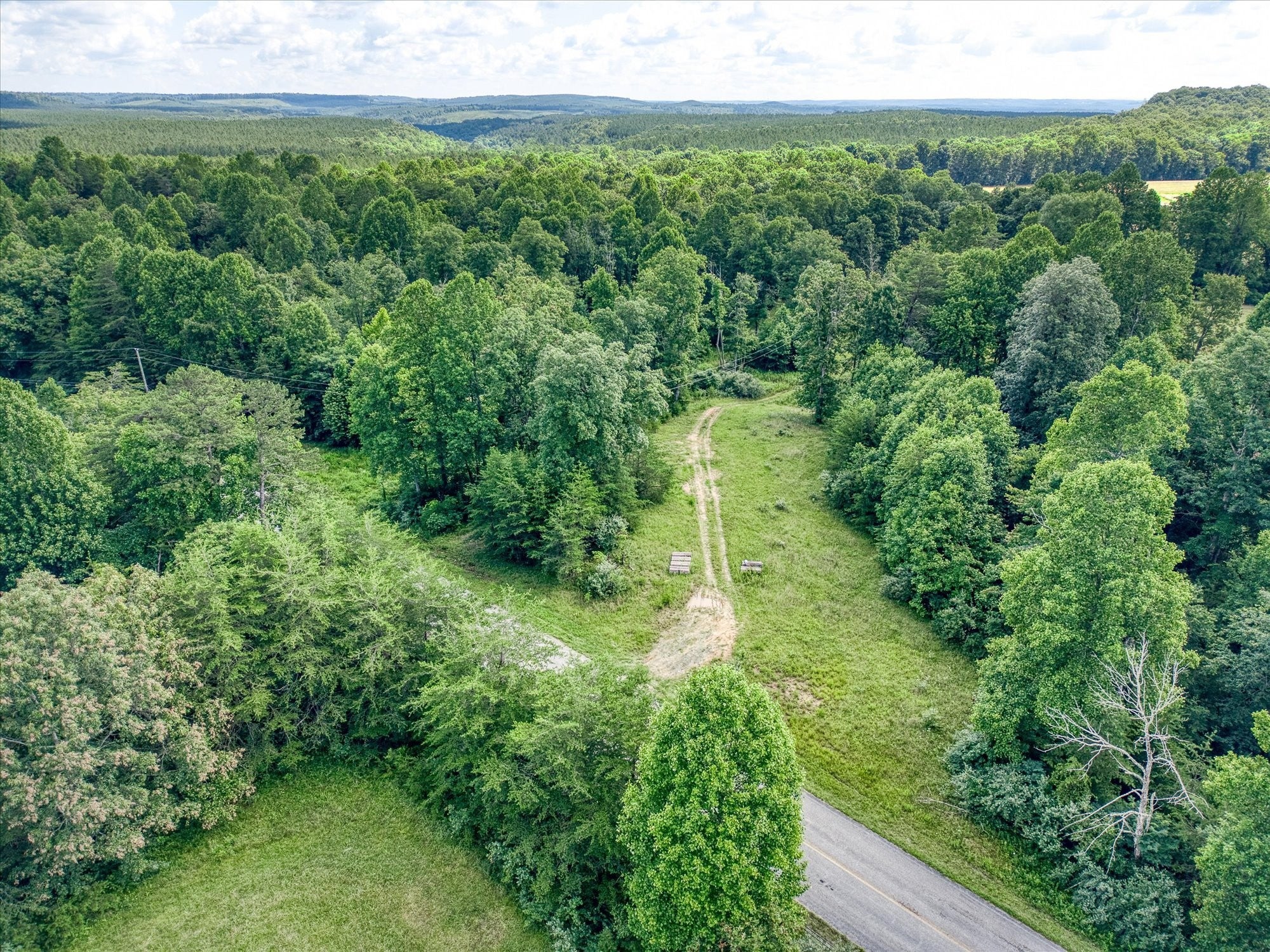 Photo of Listing #2932136