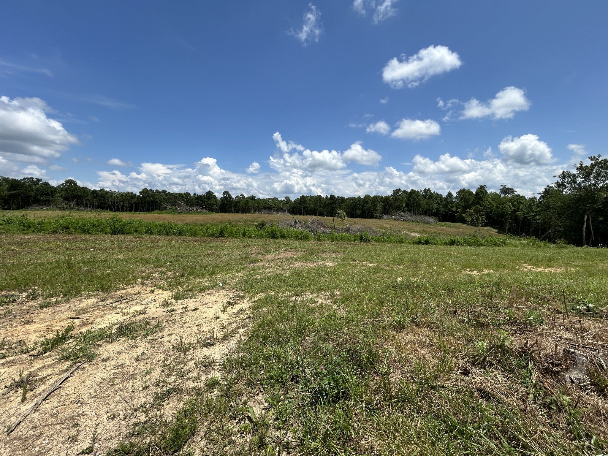 Photo of Listing #2937038
