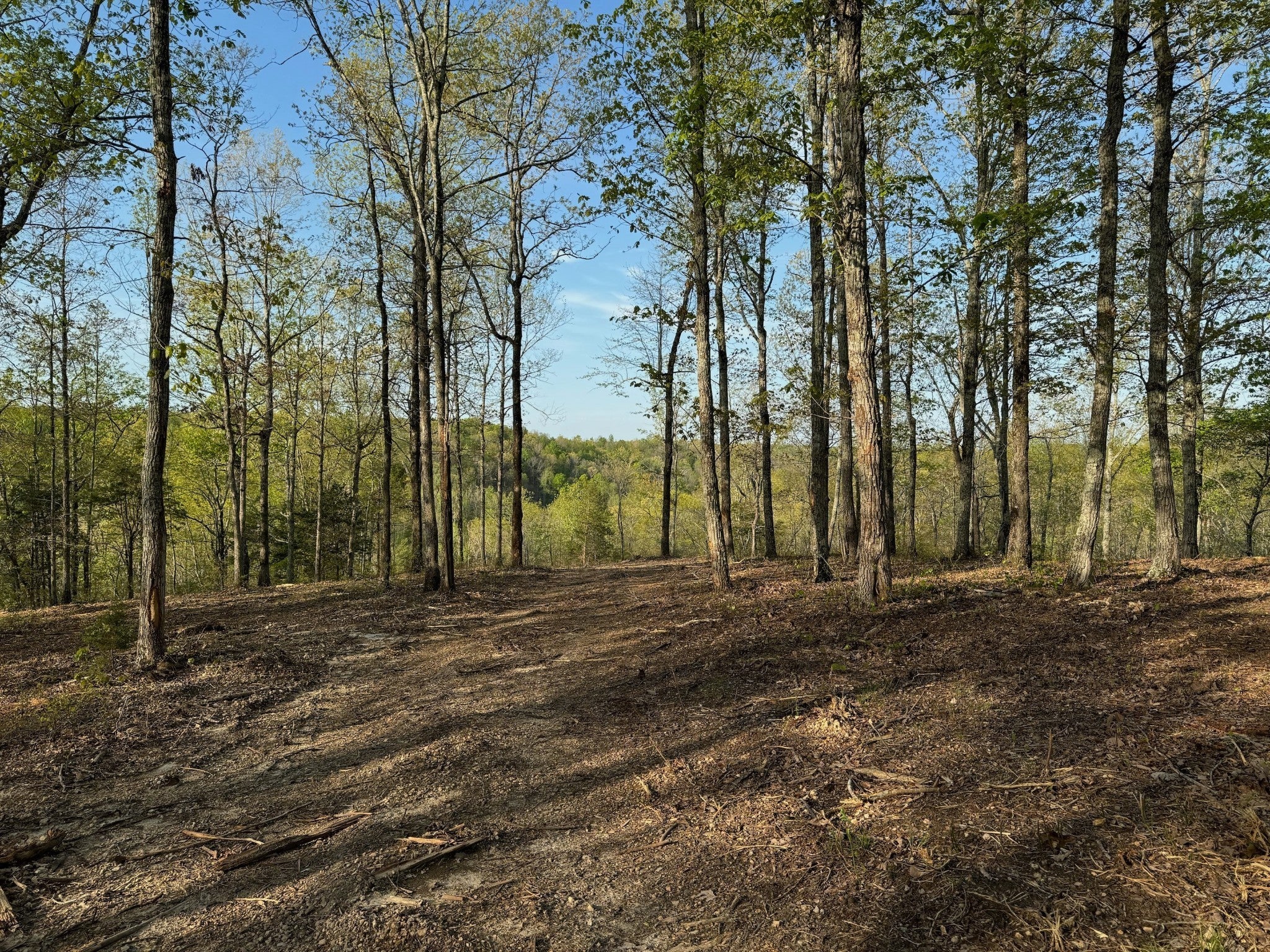 Photo of Listing #2942829