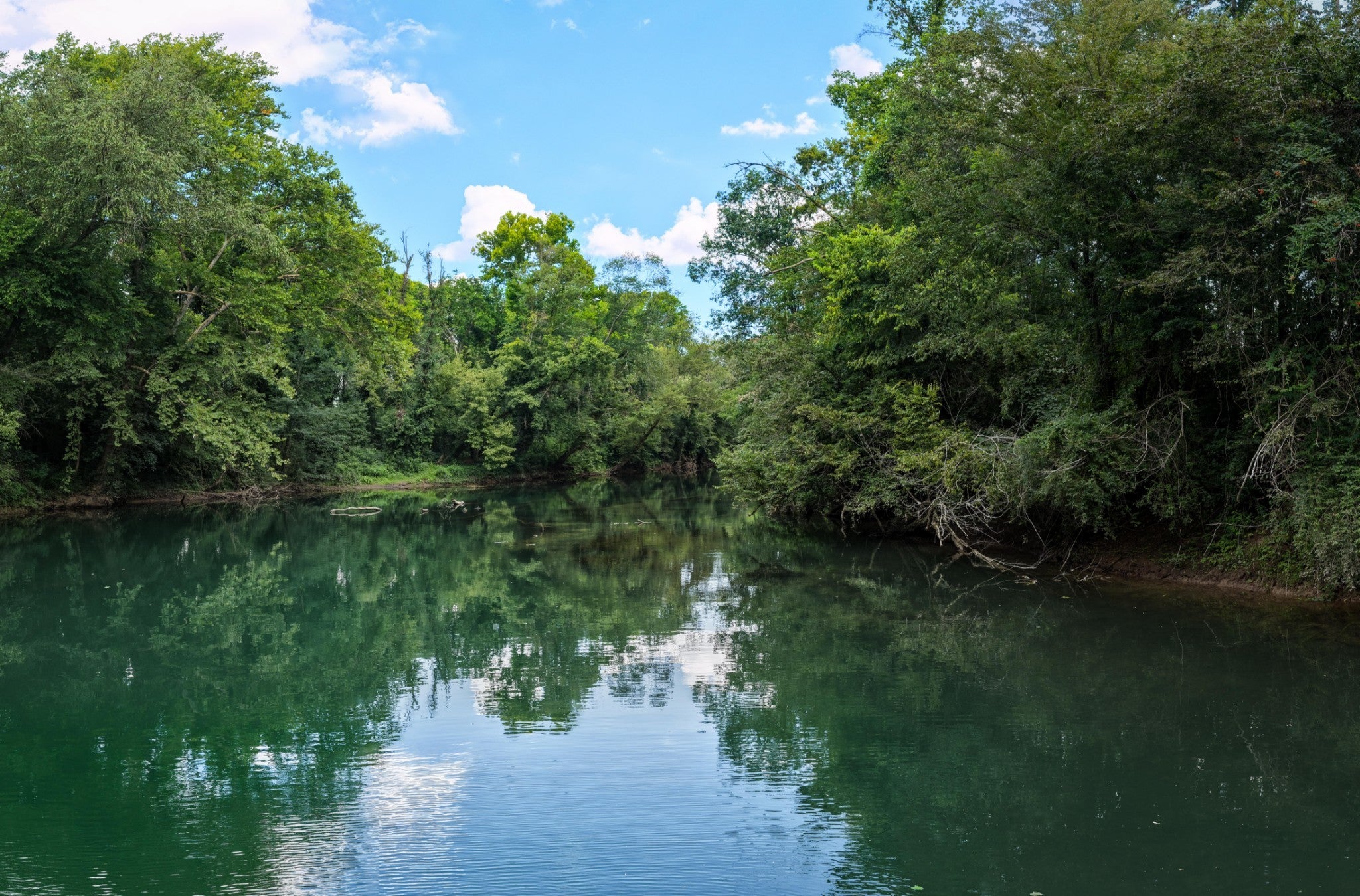 Photo of Listing #2944469