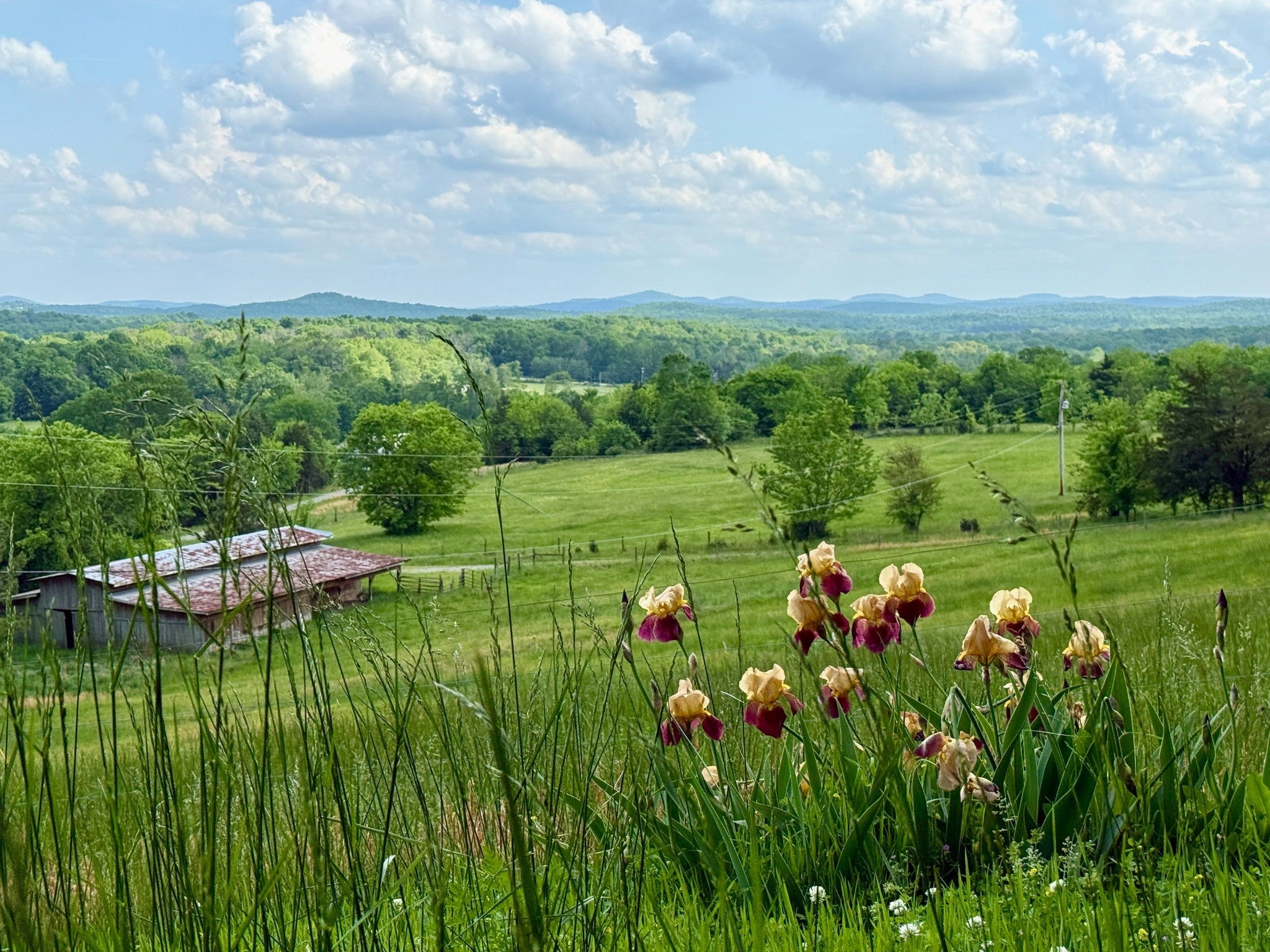 Photo of Listing #2945539