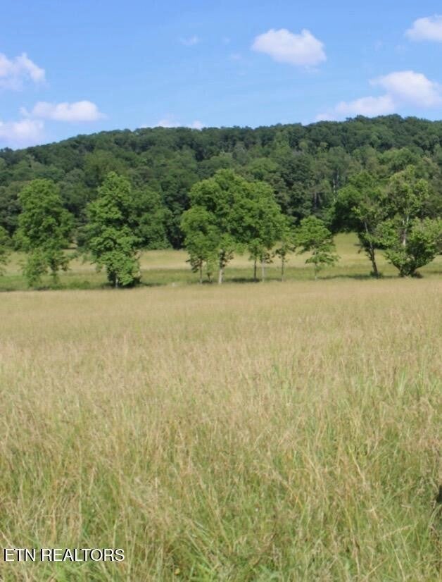 1361 Paint Rock Valley Rd, Philadelphia