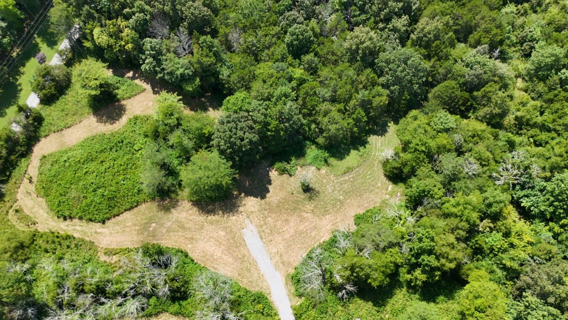 Photo of Listing #2963802