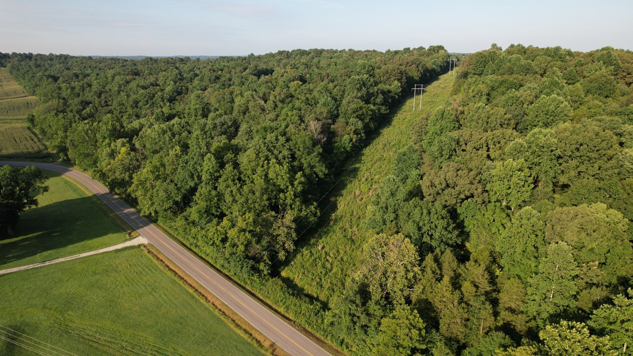 Photo of Listing #2964004