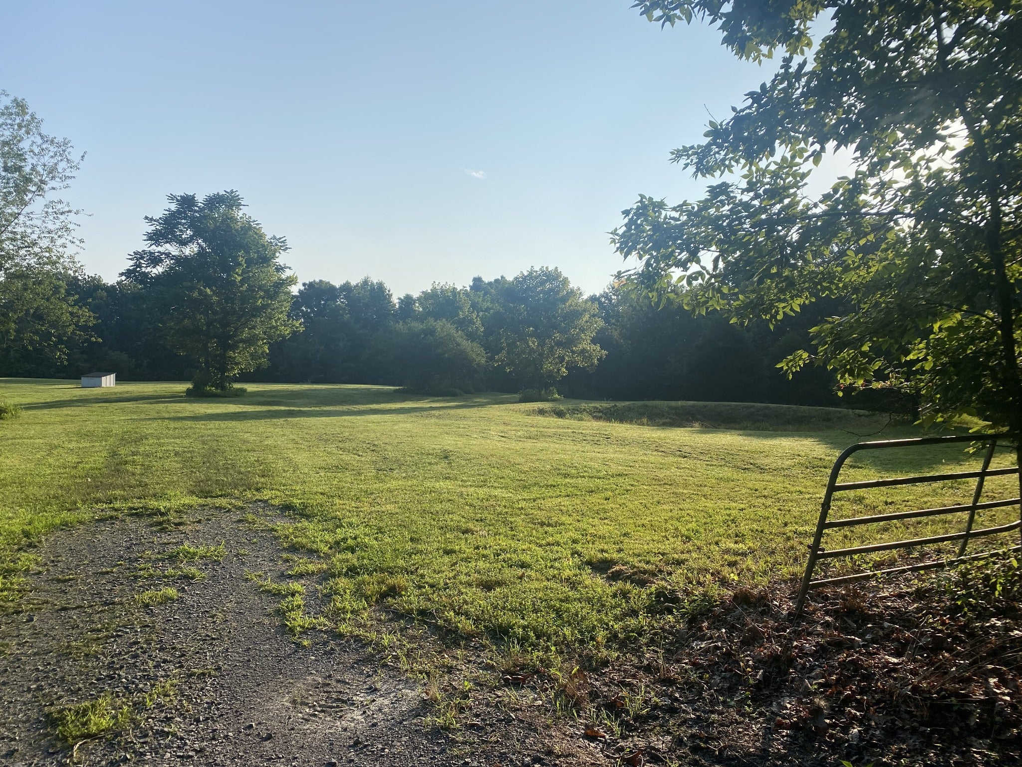 Photo of Listing #2968285