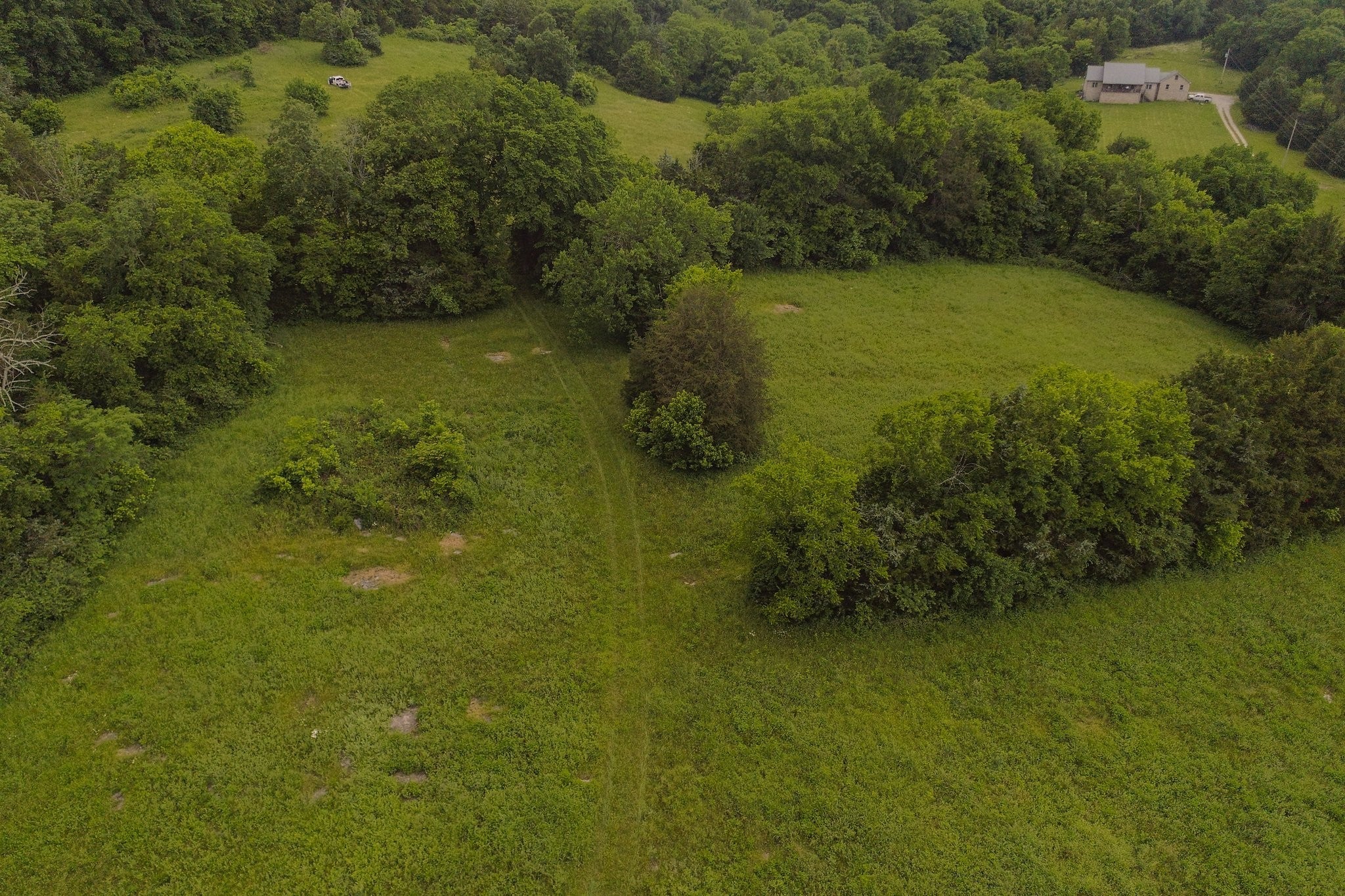 Photo of Listing #2969663