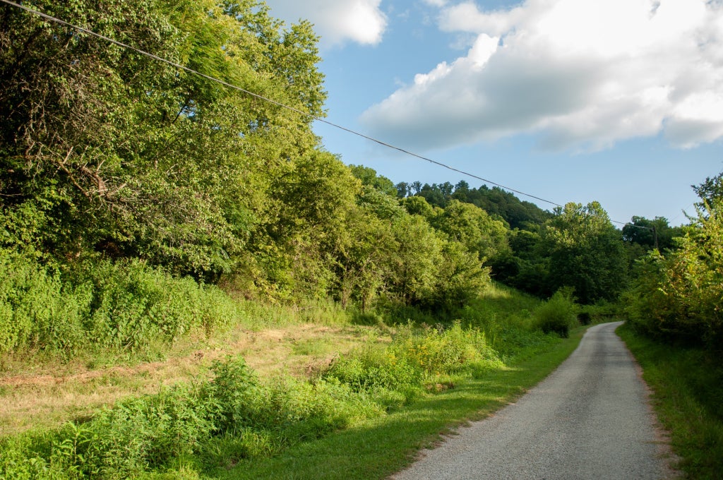 0 Nabors Hollow Ln, Hickman