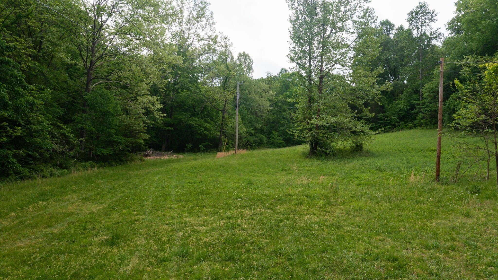 Photo of Listing #2971478