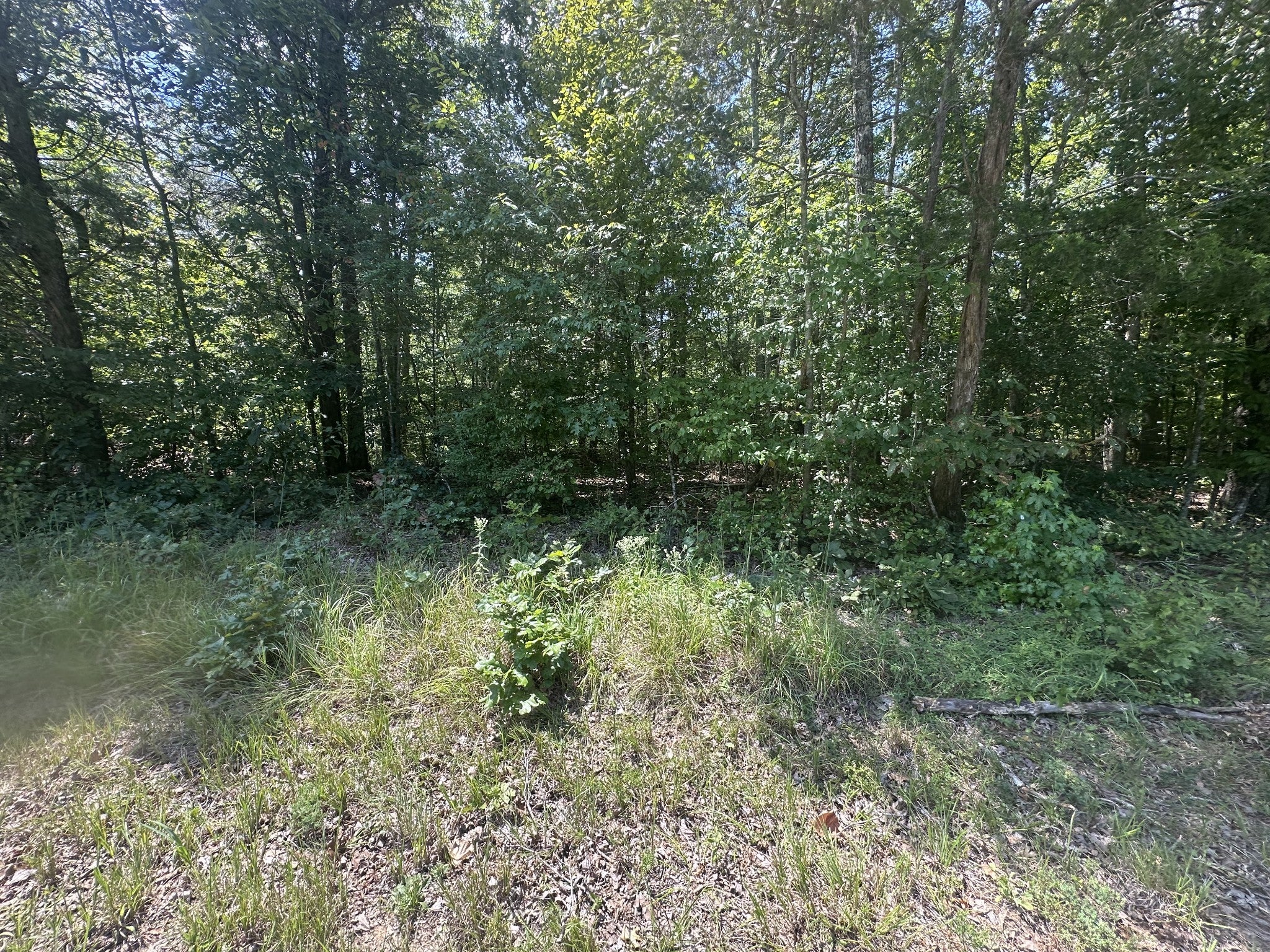 Photo of Listing #2971507