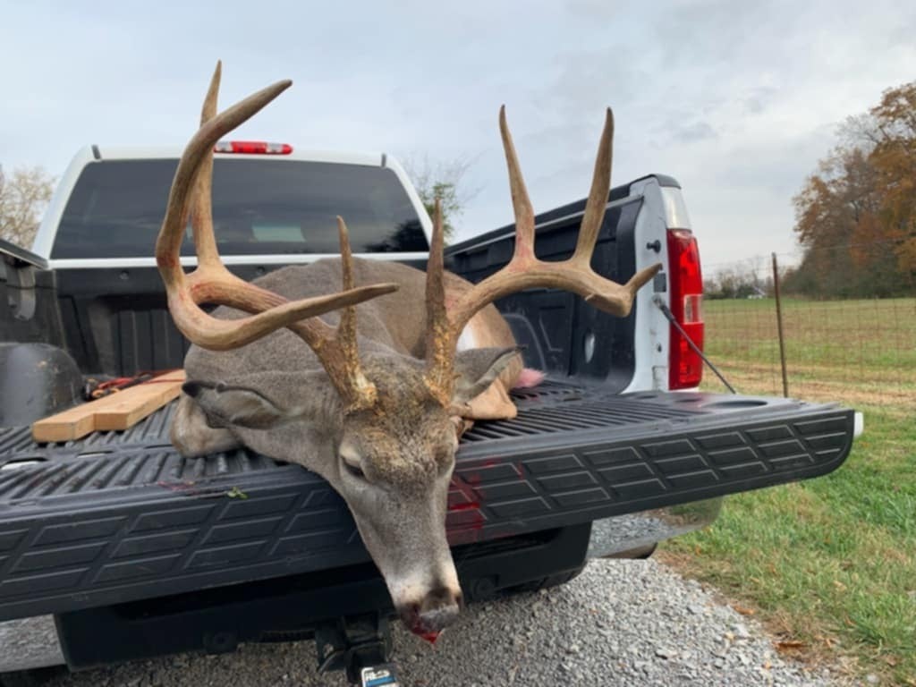 Photo of Listing #2971869