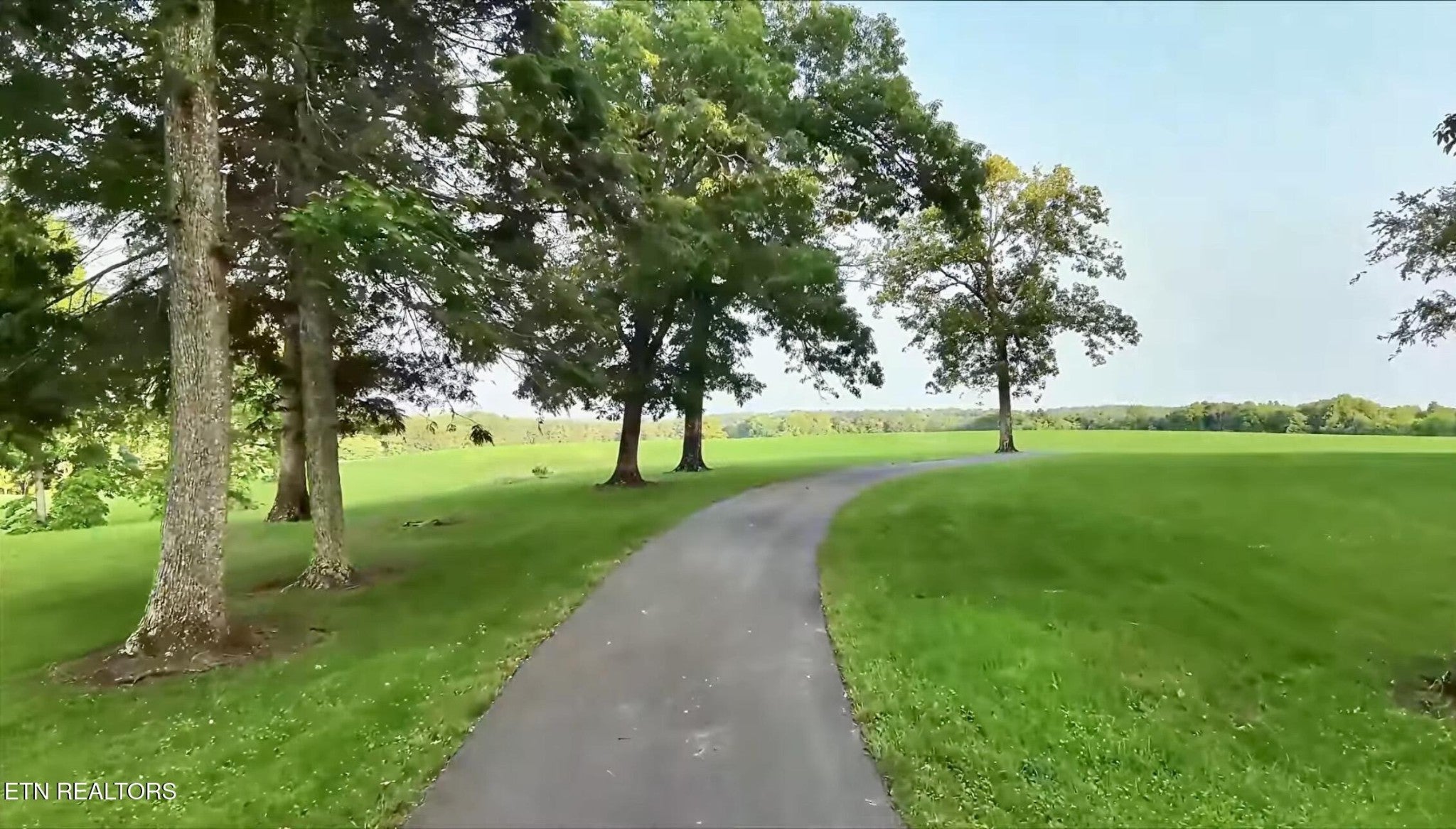 Photo of Listing #2976077