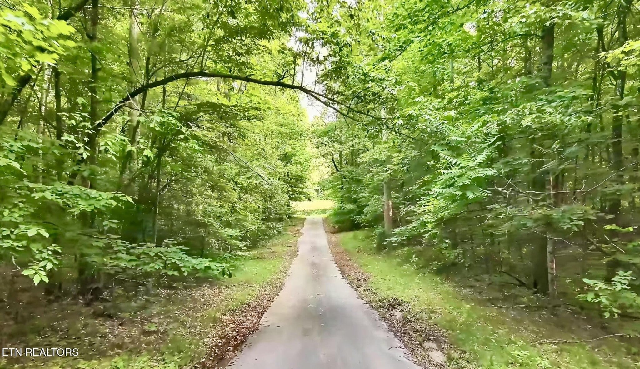 Photo of Listing #2976077