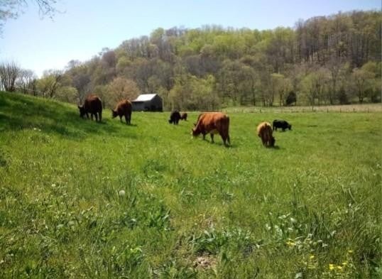 Photo of Listing #2980112