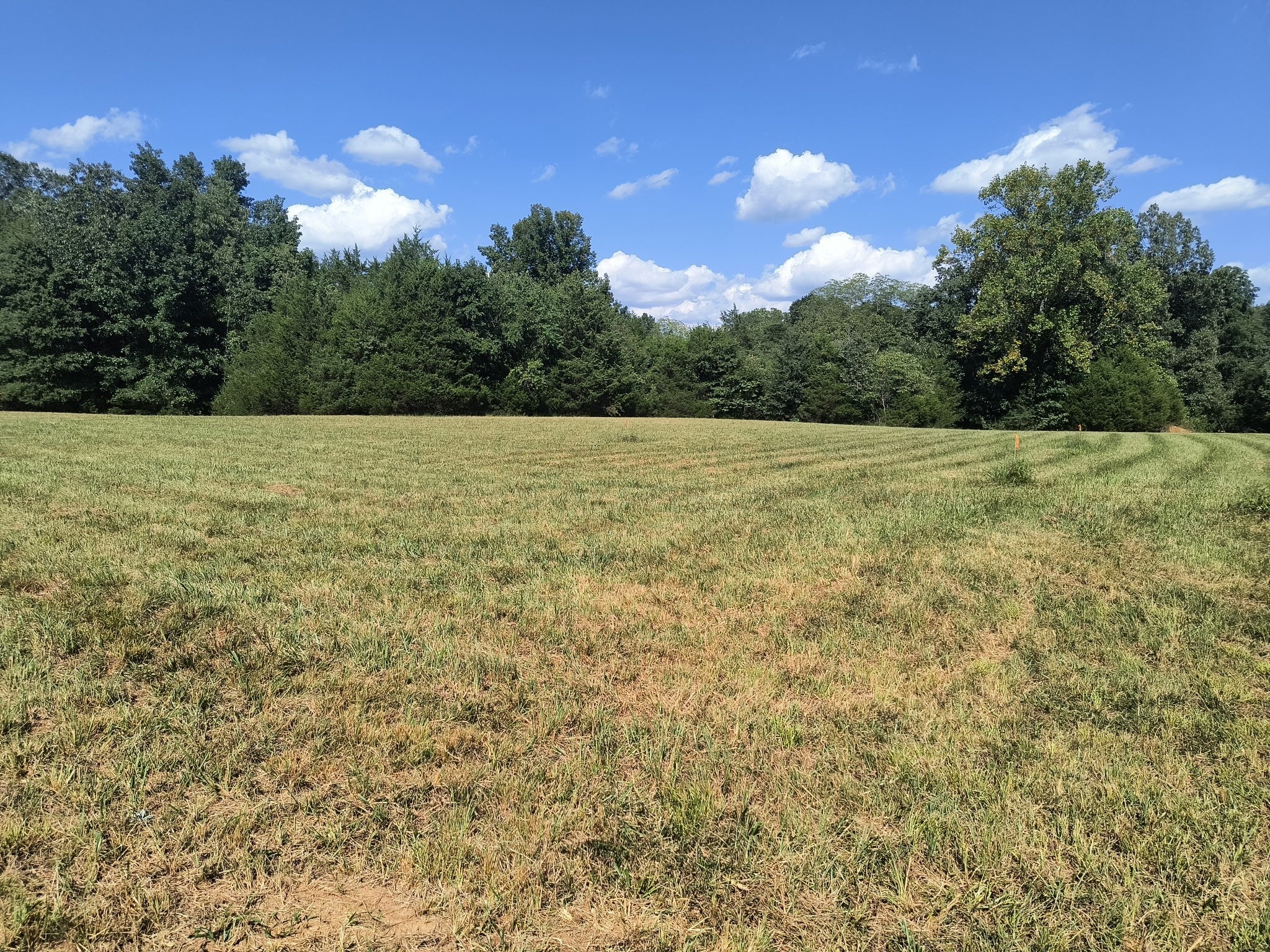 Photo of Listing #2981482