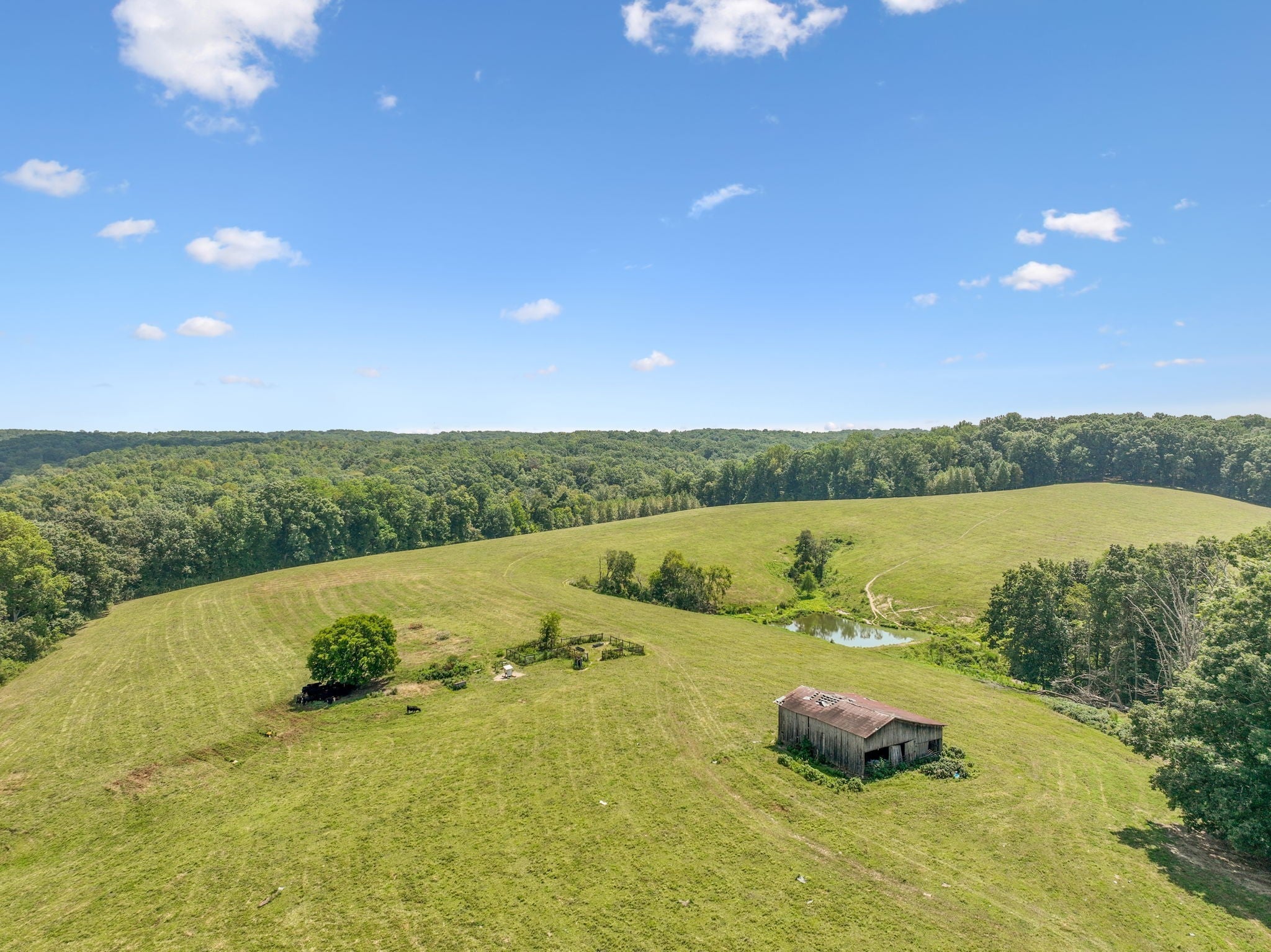 Photo of Listing #2990082