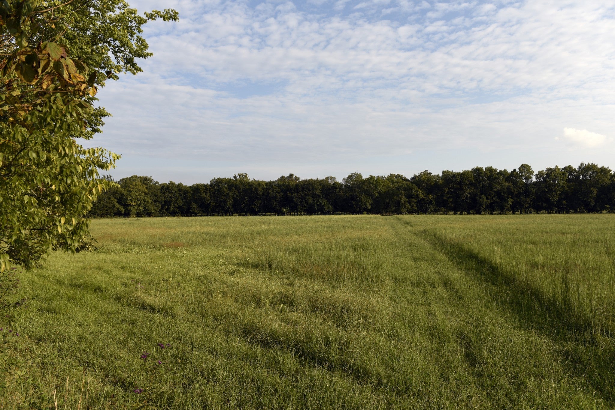 Photo of Listing #2990633