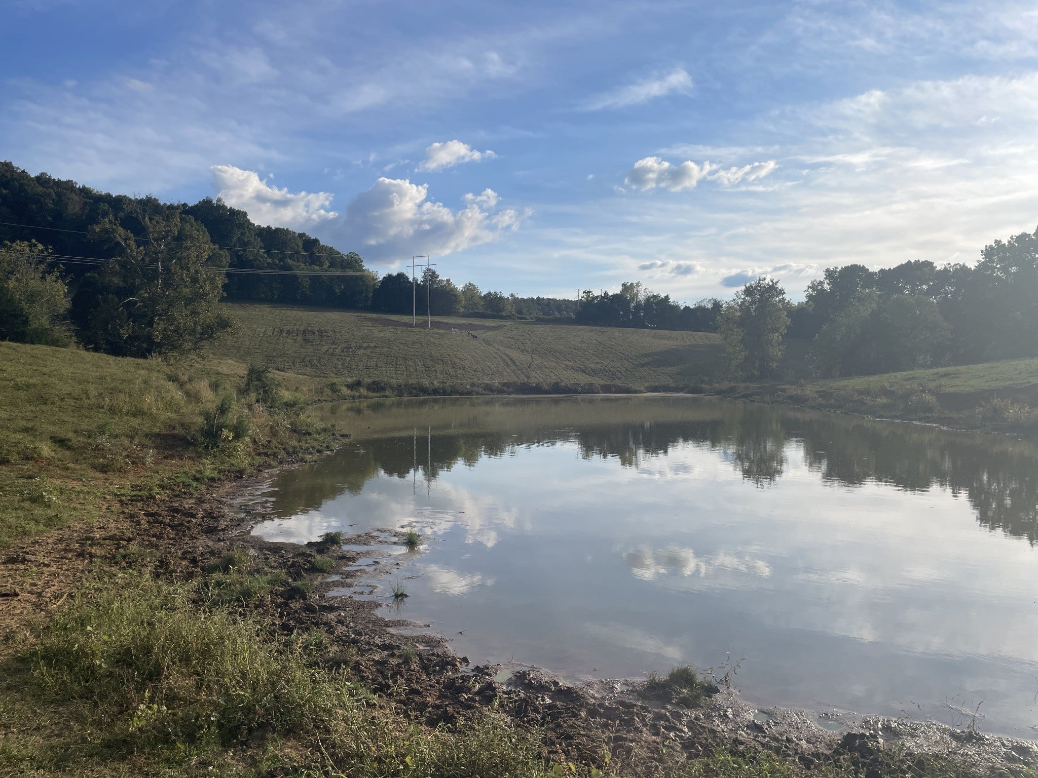 Photo of Listing #2991557