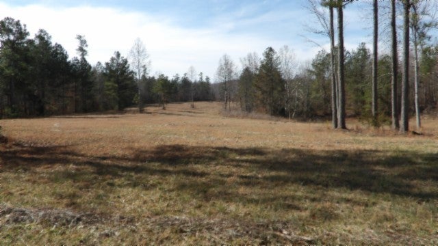 Photo of Listing #2991760