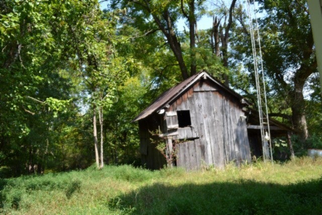 Photo of Listing #2992404