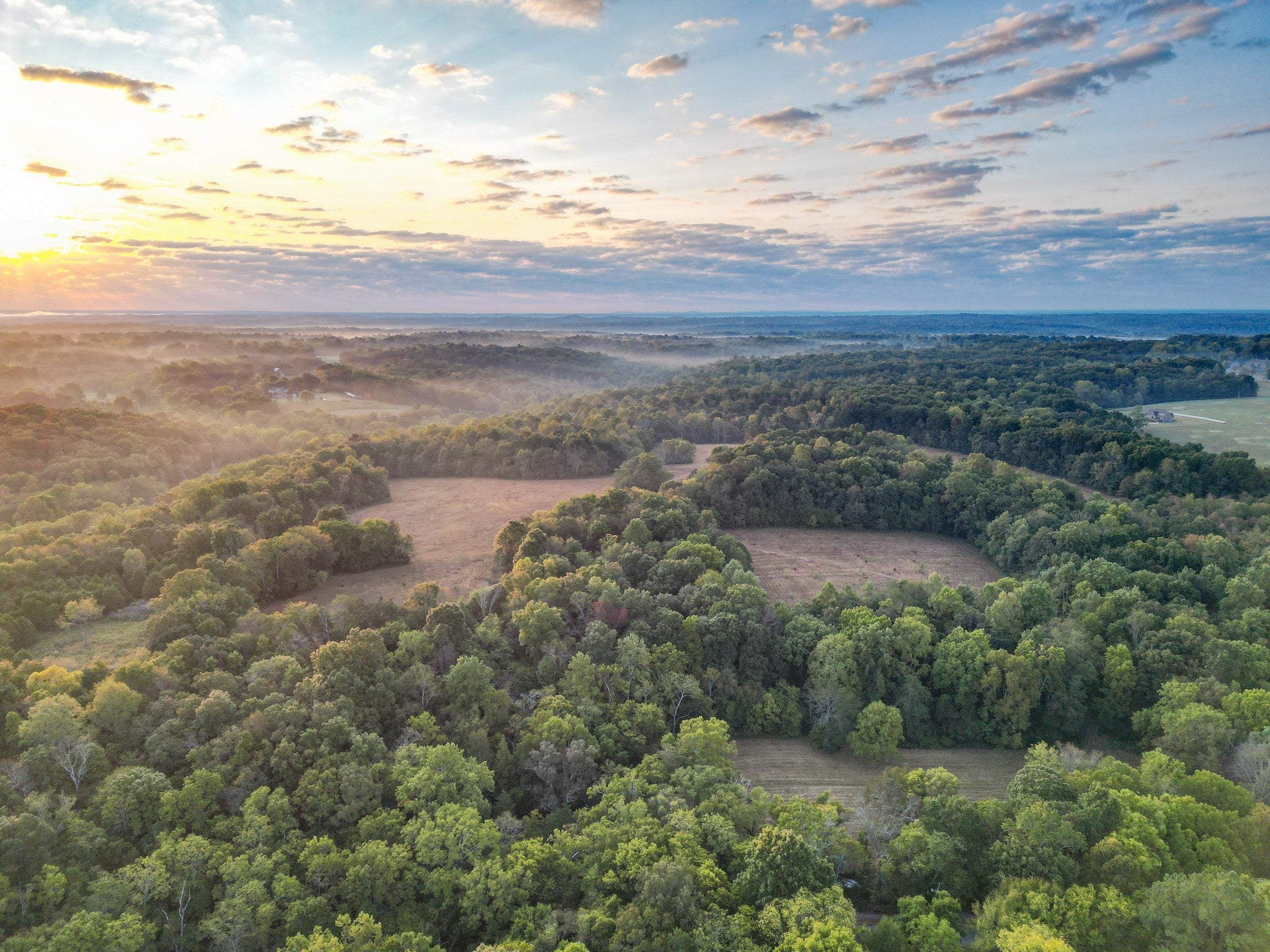 Photo of Listing #2992796