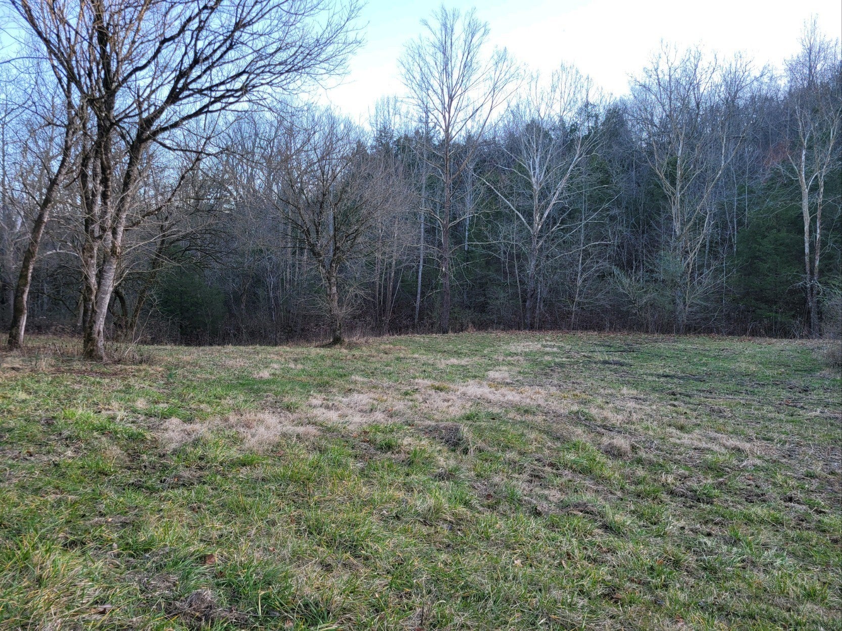 Photo of Listing #2993363