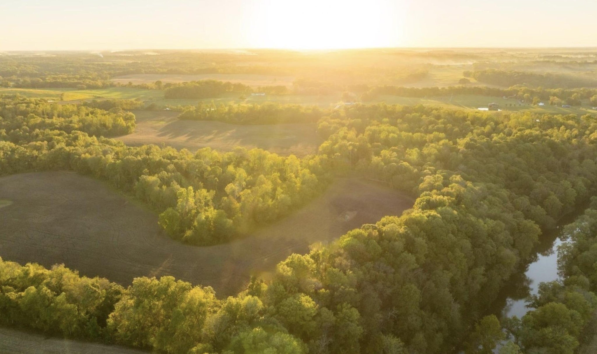 Photo of Listing #2994510